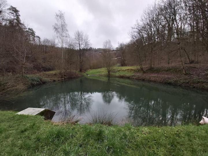 Chalet Ardennais 240 - La Boverie - Rendeux Exteriör bild